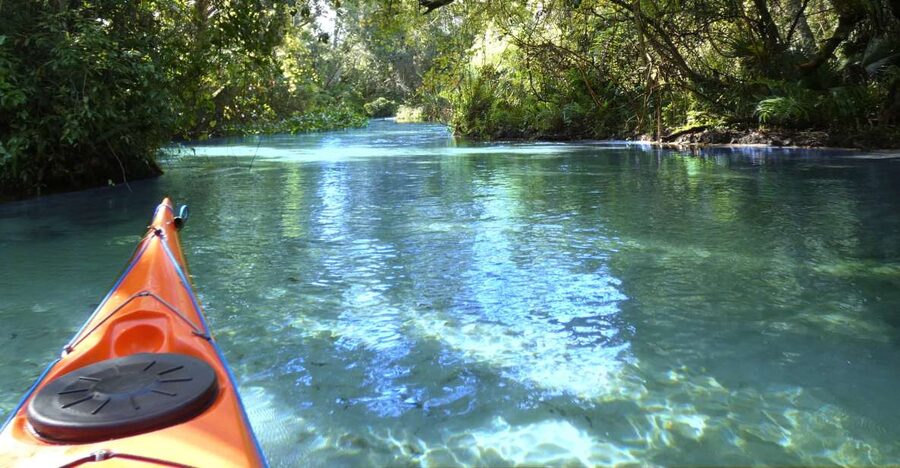 Orlando: Small Group Rock Springs Run Kayak Tour - The upstream paddle through clear water