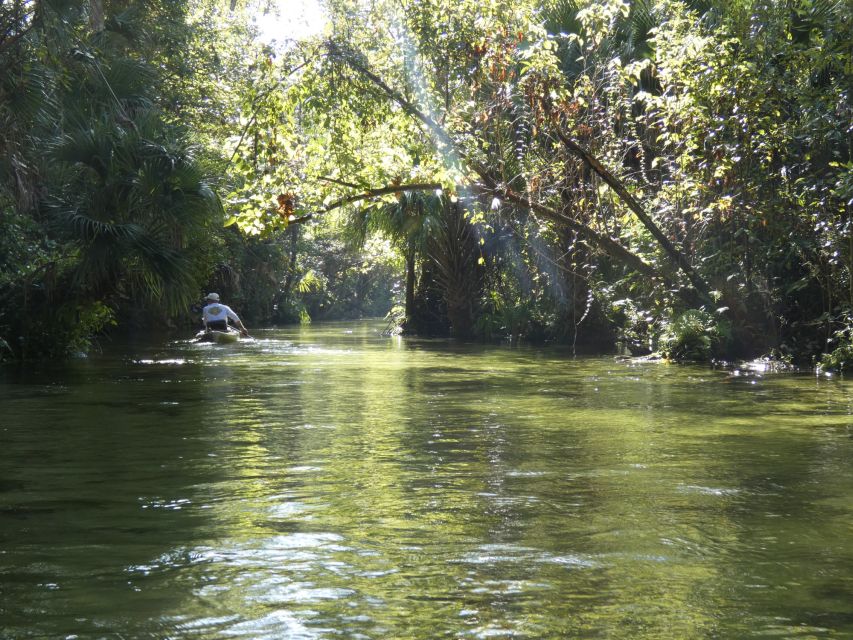 Orlando: Small Group Rock Springs Run Kayak Tour - Letting the current carry you downstream