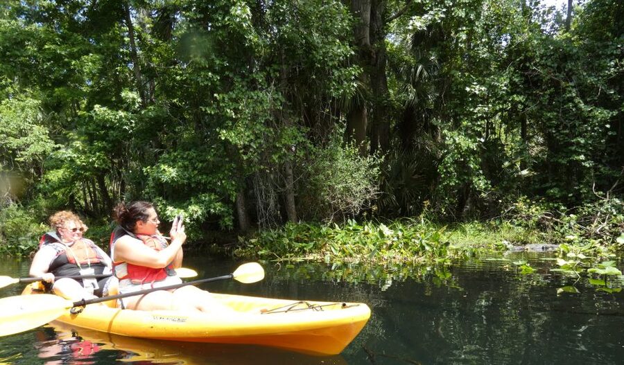 Orlando: Small Group Rock Springs Run Kayak Tour - Your guide matters more than the equipment