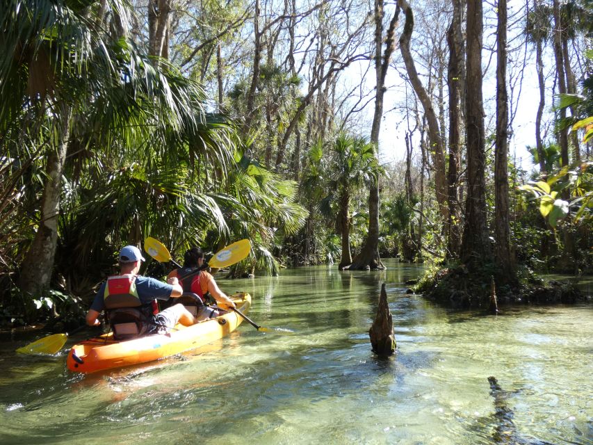 Orlando: Small Group Rock Springs Run Kayak Tour - Meeting at 5722 Baptist Camp Road