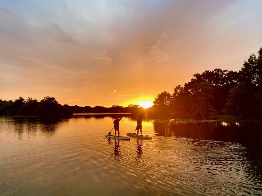 Orlando: Sunset Clear Kayak or Paddleboard in Paradise Tour - Who will enjoy this Orlando paddle most