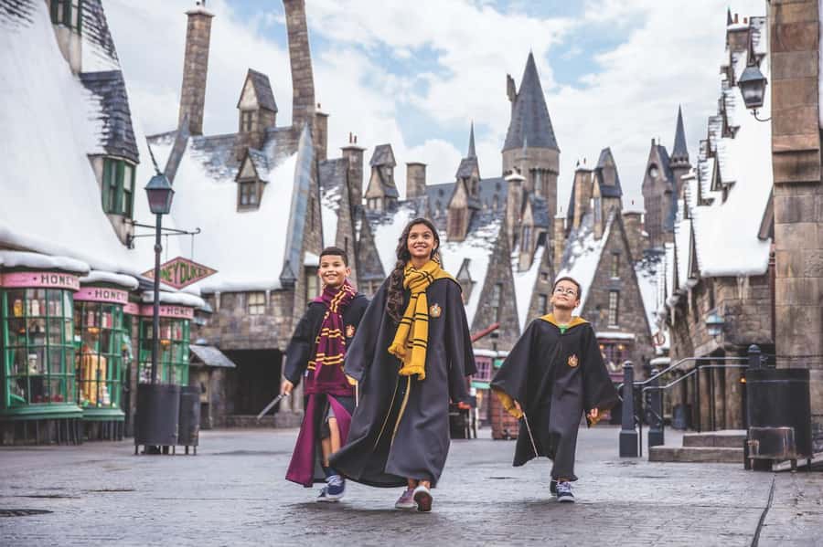 Orlando:Universal Studios 2-Park 1-Day VIP Experience Ticket - Universal Studios Florida with a guide