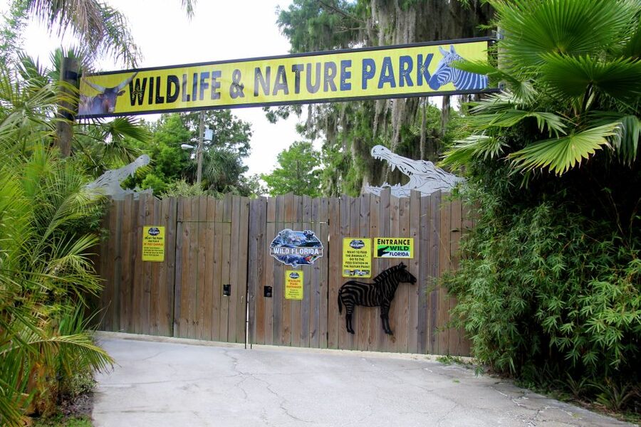 Orlando: Wild Florida Airboat Ride with Hotel Pickup & Lunch - Who will enjoy this most?