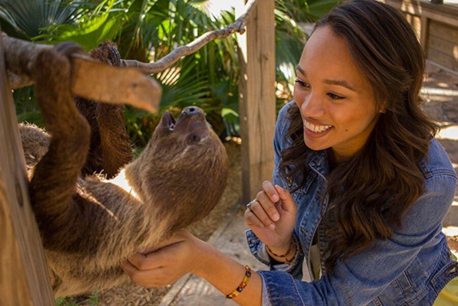 Orlando: Wild Florida Park Ticket and Gator Shows - Following Hawk Swamp’s cypress boardwalk