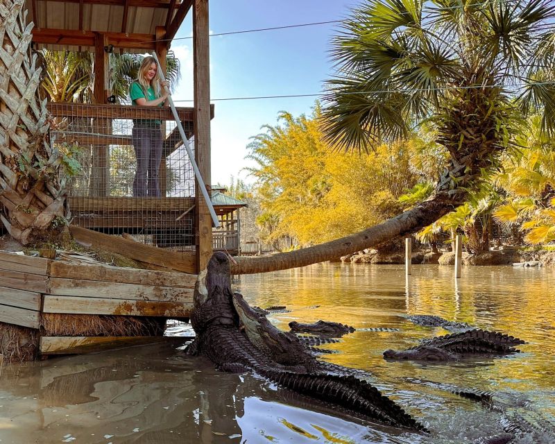 Orlando: Wild Florida Park Ticket and Gator Shows - Is $15 a good value?