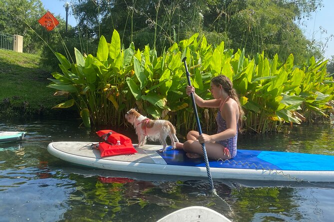 Paddle with Pups in Paradise - Paddleboard or Kayak - Why paddling with your dog works so well here