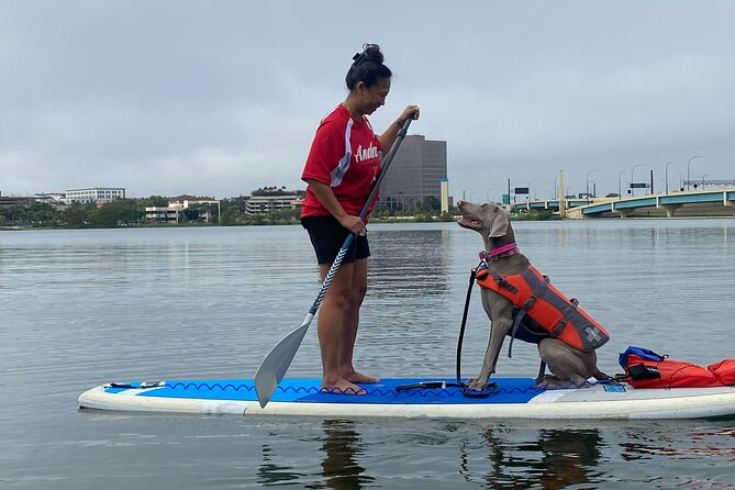 Paddle with Pups in Paradise - Paddleboard or Kayak - A two-hour outing with no complicated route
