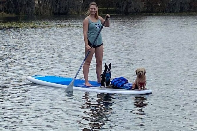 Paddle with Pups in Paradise - Paddleboard or Kayak - Is $65 a fair price?