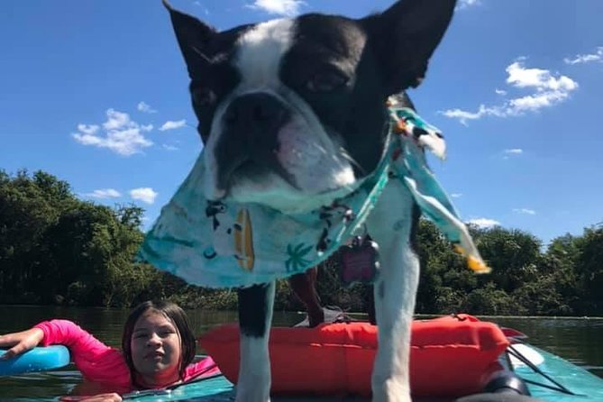 Paddle with Pups in Paradise - Paddleboard or Kayak - Who should book this Orlando activity