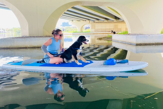 Paddle with Pups in Paradise - Paddleboard or Kayak - Who may want to think twice