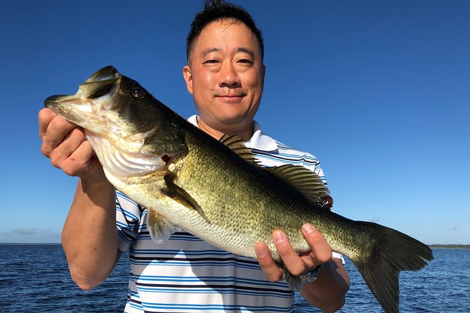 Private 6-Hour Butler Chain Of Lakes Fishing Charter Near Orlando - The fishing: bass first, bluegill also possible