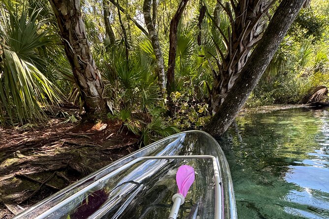 Private Crystal Clear 2 HR Kayak/Paddle Rental on Rainbow River - Key Points For Your Rainbow River Outing