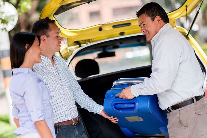 Private One-way Transfer Orlando International Airport To Orlando - Luggage, children, and pets