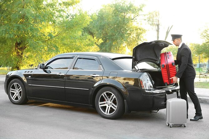 Private One-way Transfer Orlando International Airport To Orlando - The ride itself, from sedan to large minibus