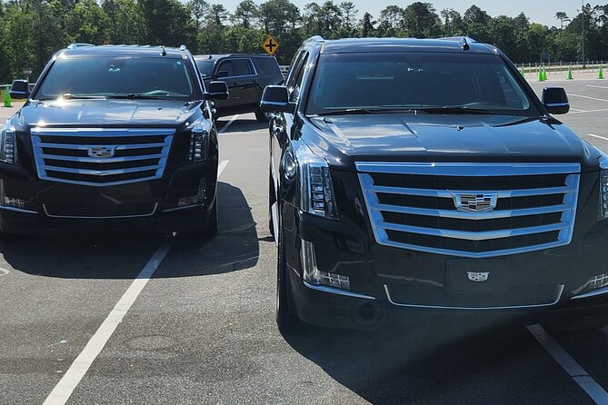 Private Oneway Pick Up from Port Canaveral to Orlando Int Airport - Who will benefit most from this transfer