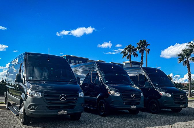 Private service, Airport, Hotels to Port Canaveral terminals. - Clean vehicles and a comfortable ride