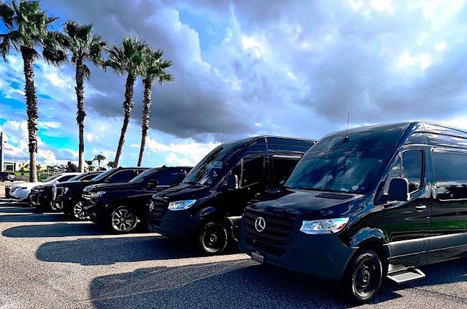 Private service, Airport, Hotels to Port Canaveral terminals. - Meeting your driver at the airport