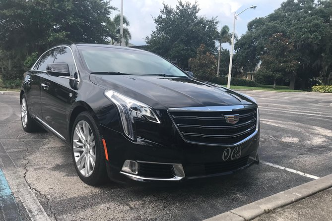Private Transfer: Orlando Airport MCO to Lake Buena Vista Hotels - A calm first step after landing at MCO