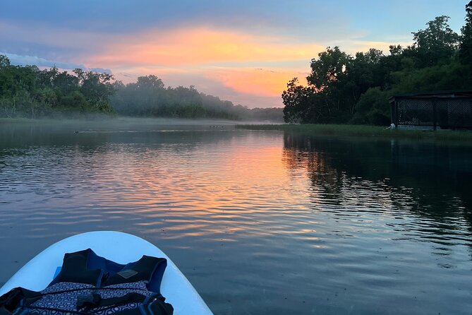 Rainbow Springs Clear Kayak and Paddleboard Guided Tours - Wildlife above and below the surface