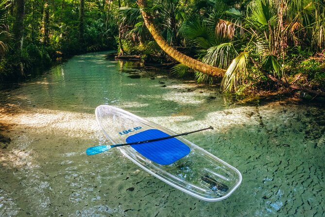 Rainbow Springs: Clear Kayak & Snorkel Eco Tour - Starting at KP Hole Park in Dunnellon