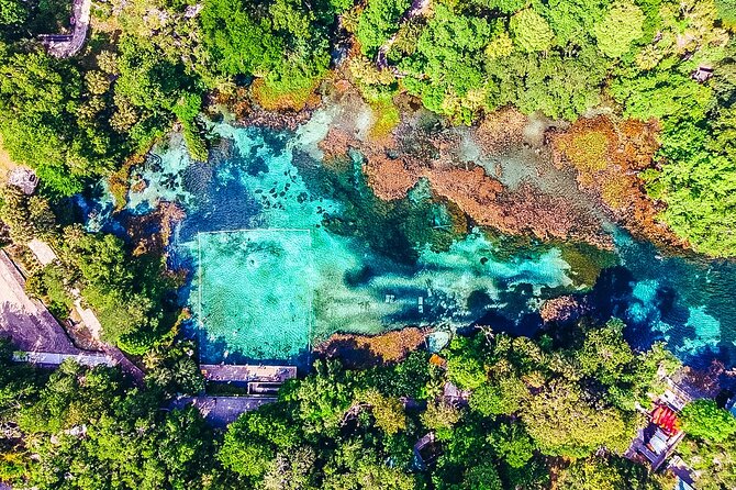 Rainbow Springs: Clear Kayak & Snorkel Eco Tour - Indian River Creek brings a chance to get out