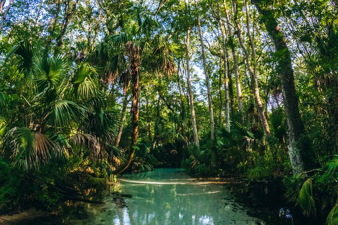 Rainbow Springs: Clear Kayak & Snorkel Eco Tour - Upstream to Rainbow Springs headsprings