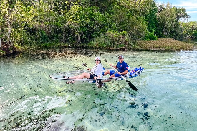 Rainbow Springs: Clear Kayak & Snorkel Eco Tour - Is the price fair for a small-group river tour?