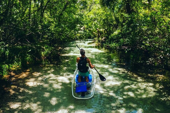Rainbow Springs: Clear Kayak & Snorkel Eco Tour - Who will enjoy this trip most?