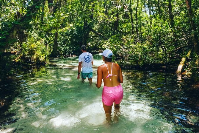 Rainbow Springs: Clear Kayak & Snorkel Eco Tour - Paddling north toward Indian River Creek