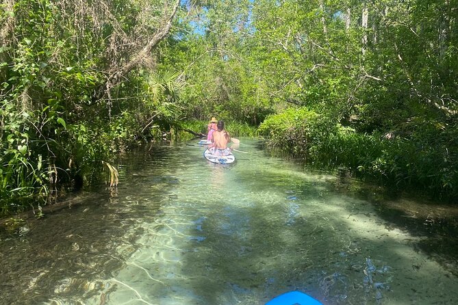 Rainbow Springs Electric Paddle Tour - Key points to know before you go