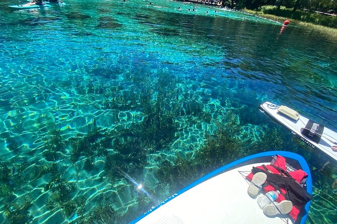 Rainbow Springs Electric Paddle Tour - Why electric paddleboarding works so well here