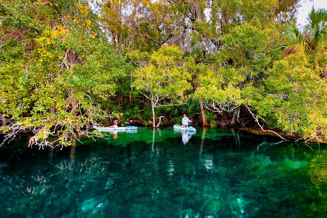 Rainbow Springs Paddle Board Tour - Slowing down at Indian Creek