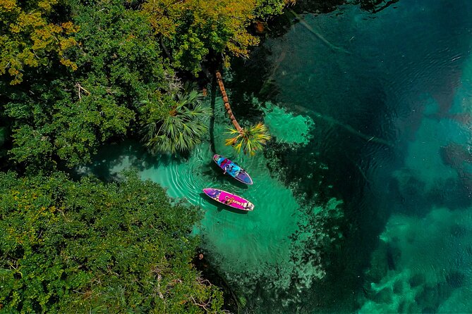 Rainbow Springs Paddle Board Tour - Why the photos and video add real value