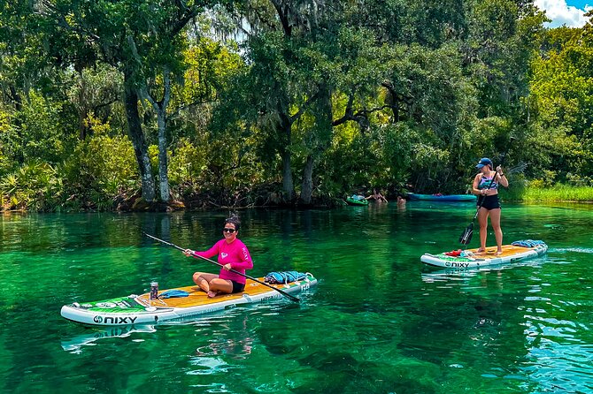 Rainbow Springs Paddle Board Tour - The value of $69, plus the park fee