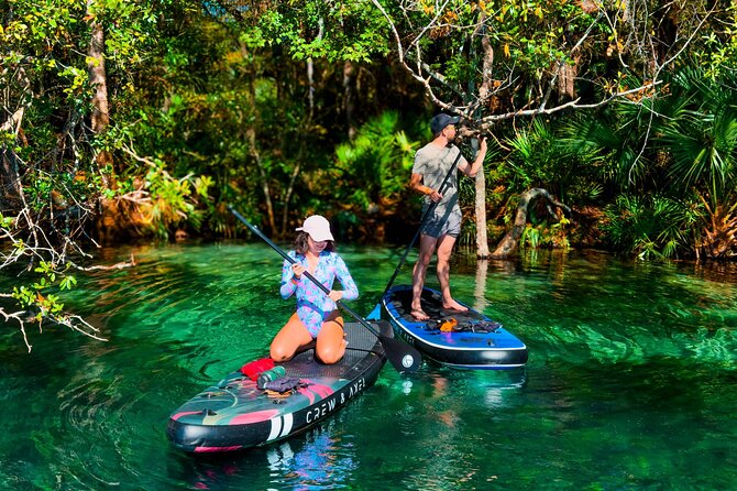 Rainbow Springs Paddle Board Tour - Following Rainbow River through clear water
