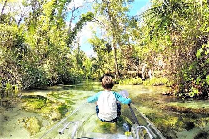 Rock Springs 2-Hour Glass Bottom Guided Kayak Eco Tour - What the guide adds