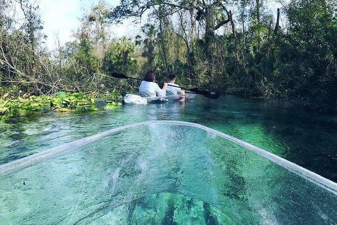 Rock Springs 2-Hour Glass Bottom Guided Kayak Eco Tour - Who will enjoy this Rock Springs tour?