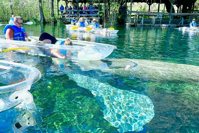 Sassy’s Silver Springs Kayak and Paddleboard Tours - Getting set with kayaks, paddleboards, and safety gear