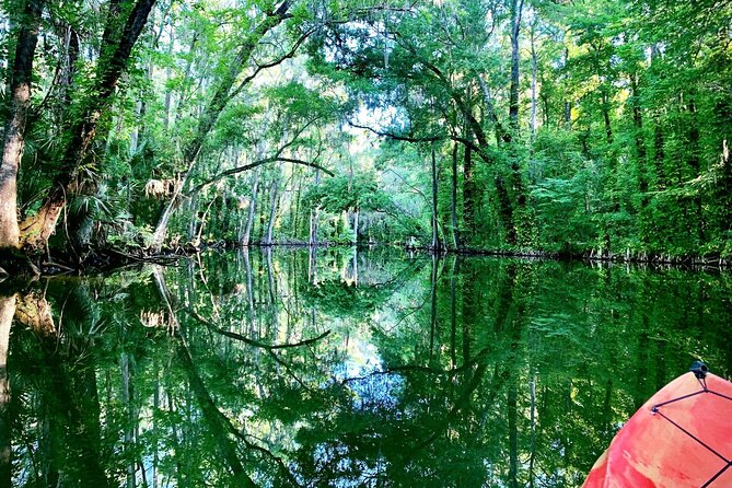 Scenic Half-Day Kayak or Paddleboard Rental – Dora Canal - Wooton Park keeps the outing easy