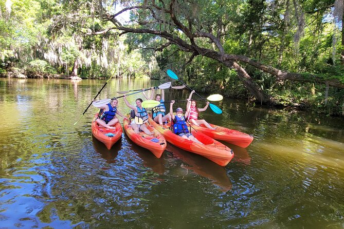 Scenic Half-Day Kayak or Paddleboard Rental – Dora Canal - Choosing between a kayak and paddleboard