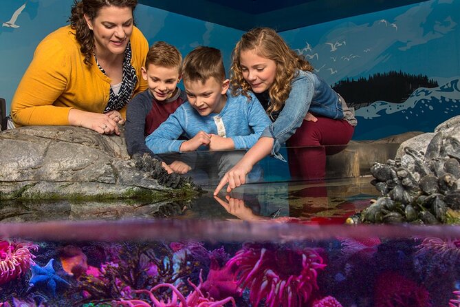 SEA LIFE Orlando Aquarium Admission Ticket at ICON Park - SEA LIFE Orlando is a compact aquarium with a clear route