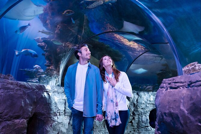 SEA LIFE Orlando Aquarium Admission Ticket at ICON Park - Booking, mobile entry, and parking details