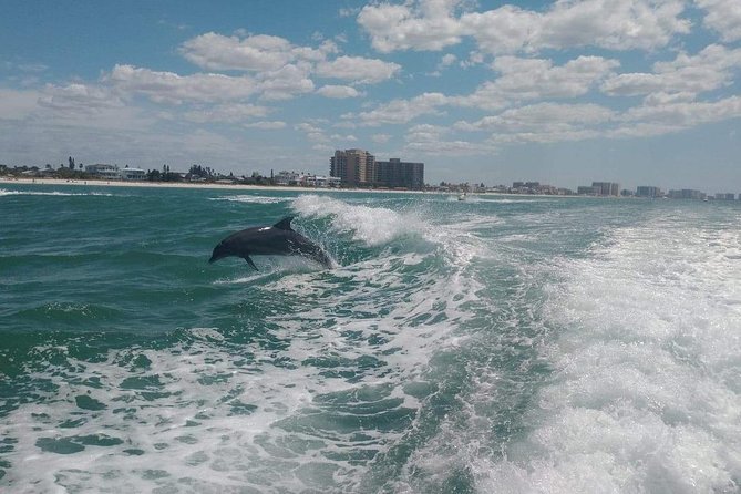 Sea Screamer Boat Cruise in Clearwater Beach with Transport - What the free time means for families