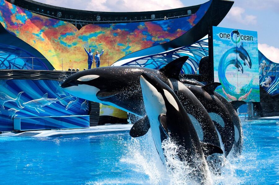 SeaWorld Orlando: Park Admission Ticket - What the $87 ticket really buys you