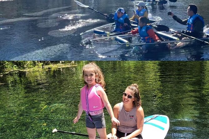 Silver Springs Clear Kayak Manatee, Monkey & Wildlife Adventures - Why Silver Springs works so well from the water
