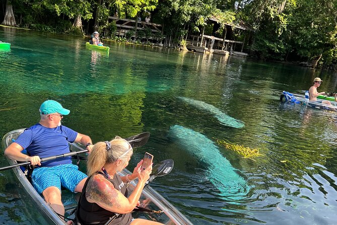 Silver Springs Clear Kayak Manatee, Monkey & Wildlife Adventures - The wildlife you might see