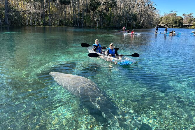 Silver Springs Clear Kayak Manatee, Monkey & Wildlife Adventures - What the guides add to the experience