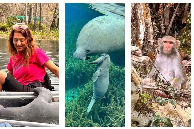 Silver Springs Clear Kayak Manatee, Monkey & Wildlife Adventures - The two-hour route from the launch point