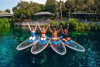 Clear Kayak Wildlife Adventure