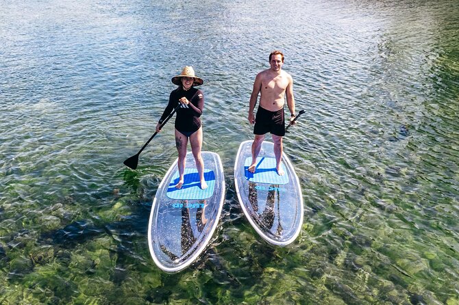 Silver Springs: Clear Kayak Wildlife Adventure - What the Guides Add to the Experience